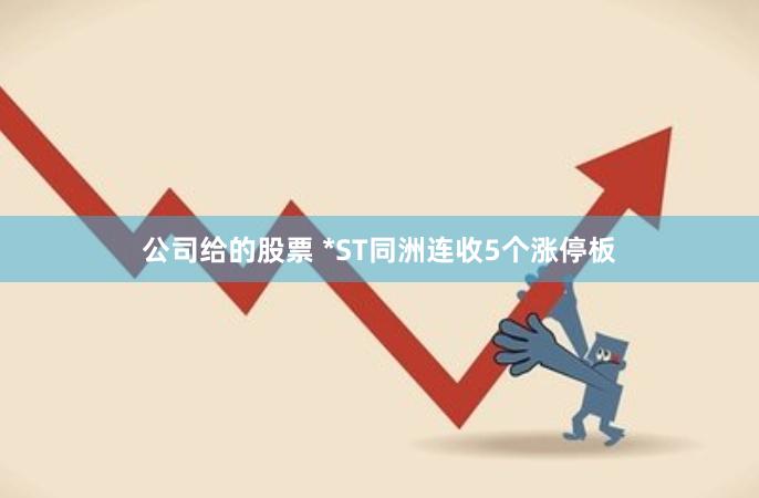 公司给的股票 *ST同洲连收5个涨停板